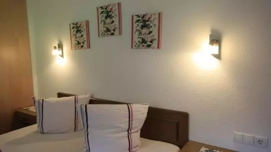 هتل Ferienwohnung Alpenhof