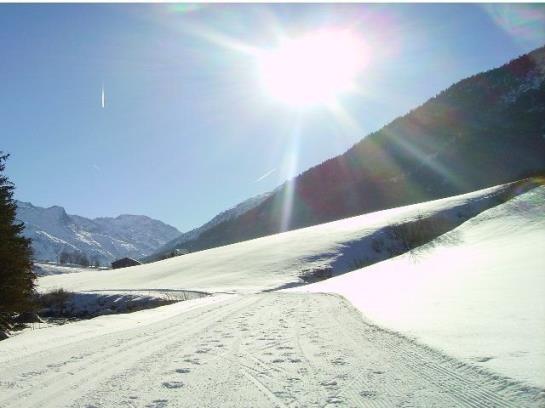 Otel Ferienwohnung Höllrigl