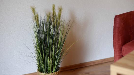 Pensiune Gästehaus Pflauder