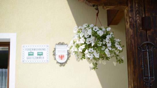 Pensiune Gästehaus Pflauder