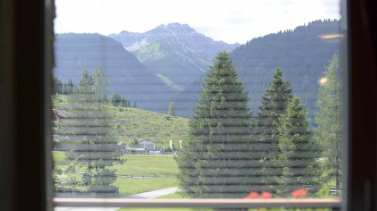 Pensiune Gästehaus Pflauder