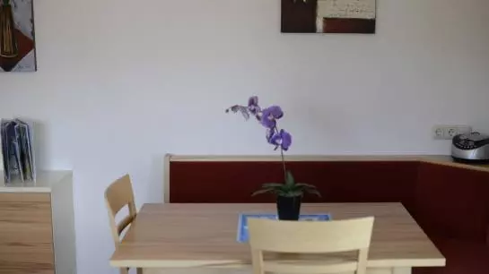 ペンション Gästehaus Pflauder