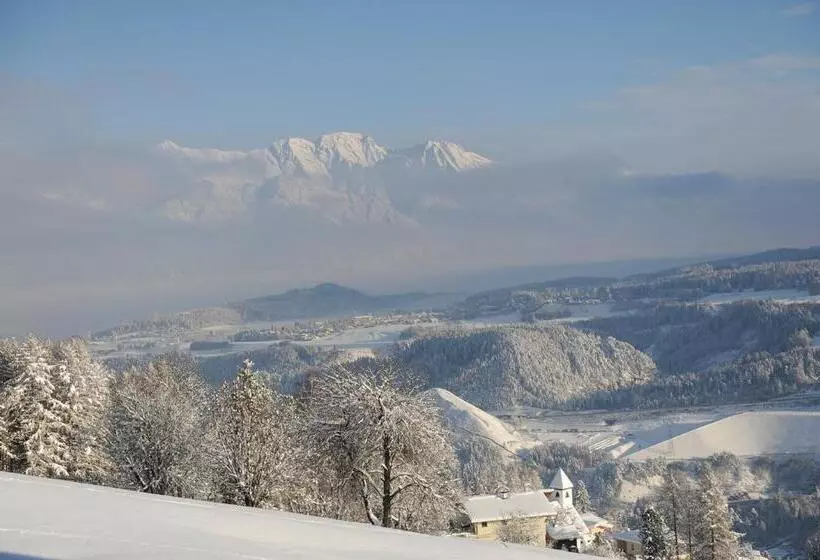 Отель Hoarachhof