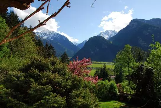 Luxus Chalet Muehlermoos