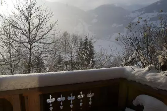 Luxus Chalet Muehlermoos