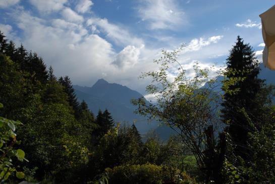 Luxus Chalet Muehlermoos