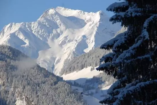 Luxus Chalet Muehlermoos