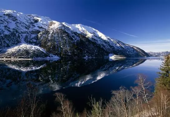 هتل Montana