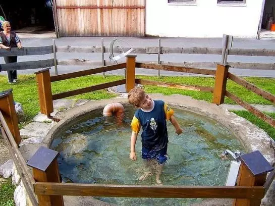 Hotelli Schnapflhof