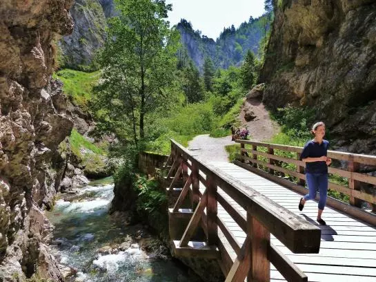 ホテル Schweizerhof