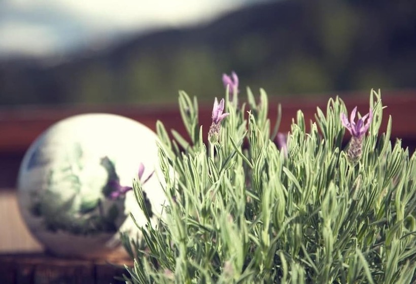 פנסיון Berghotel Pointenhof