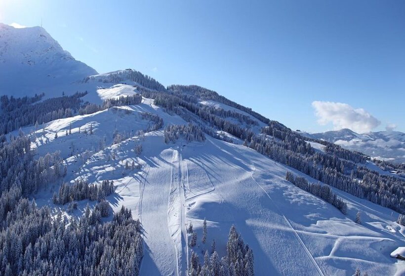 פנסיון Berghotel Pointenhof