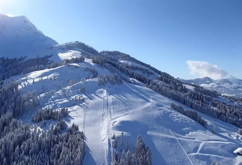 Пансион Berghotel Pointenhof