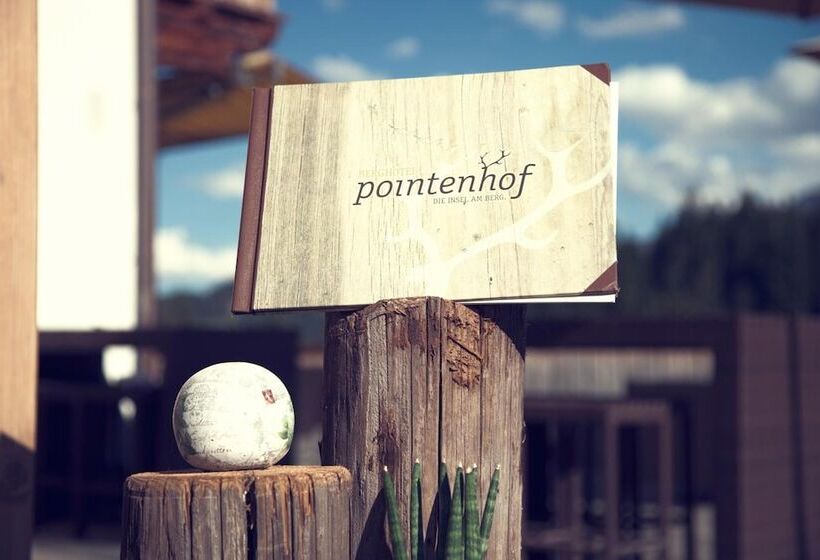 פנסיון Berghotel Pointenhof