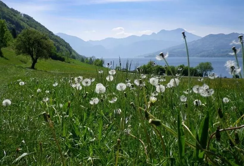 Schillerhof Hotel Garni