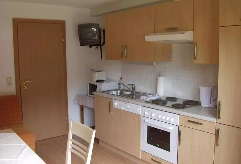 Appartements Steinbock   Ski In & Ski Out