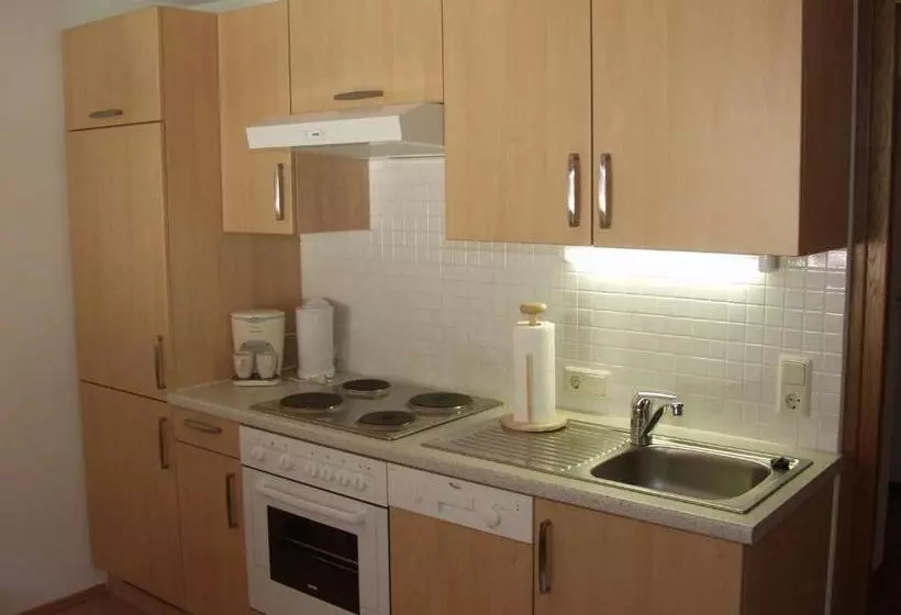 Appartements Steinbock   Ski In & Ski Out