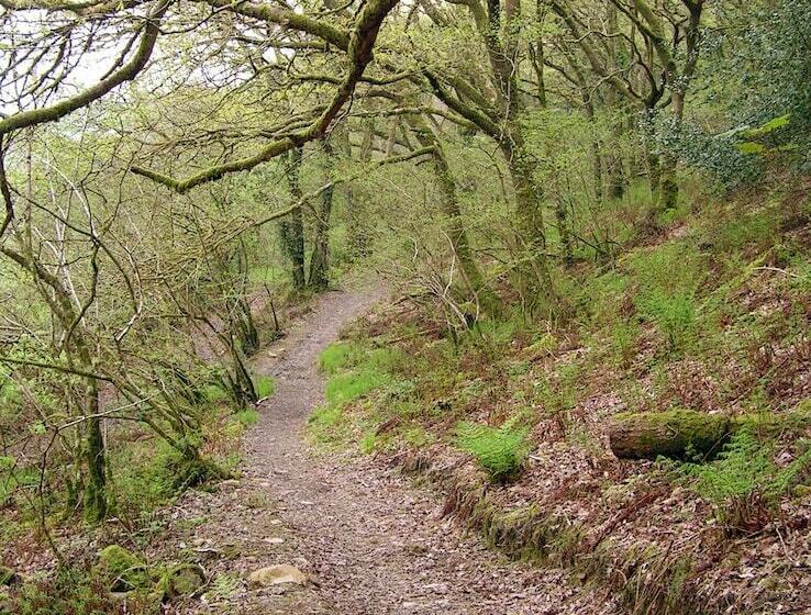 مبيت وإفطار Erwlon Farm