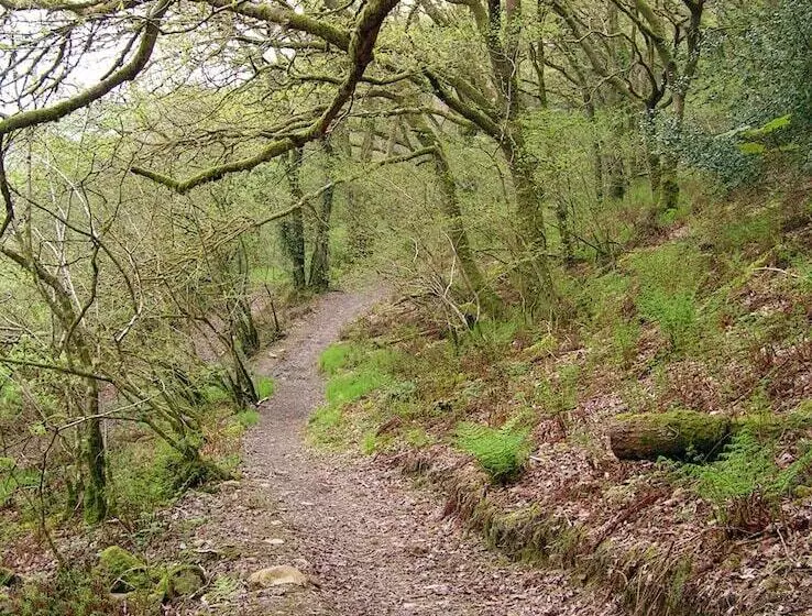 ベッドアンドブレックファースト Erwlon Farm