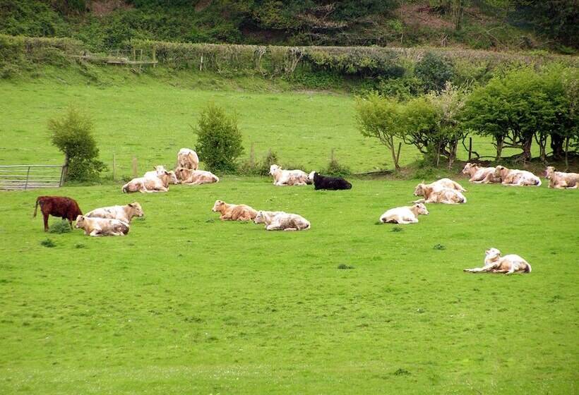 مبيت وإفطار Erwlon Farm