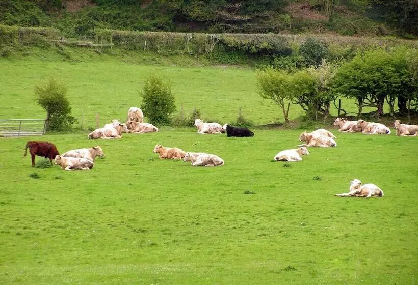 ベッドアンドブレックファースト Erwlon Farm