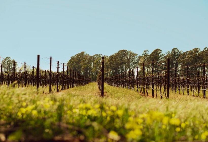 호텔 Stanly Ranch, Auberge Resorts Collection