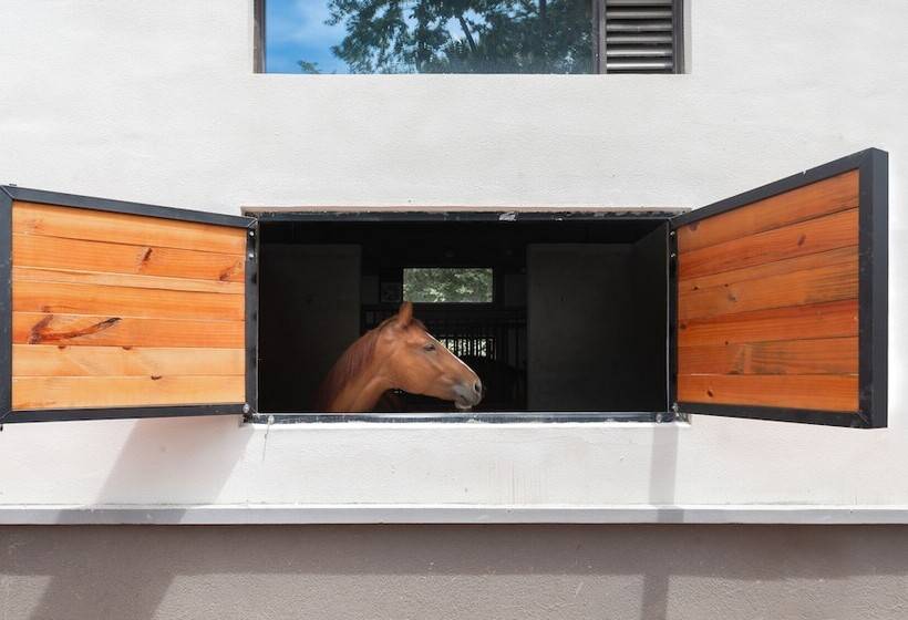 Resort Otel Ahn Lan Xinchang