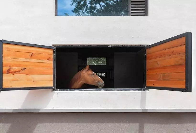 Lomakeskus Ahn Lan Xinchang