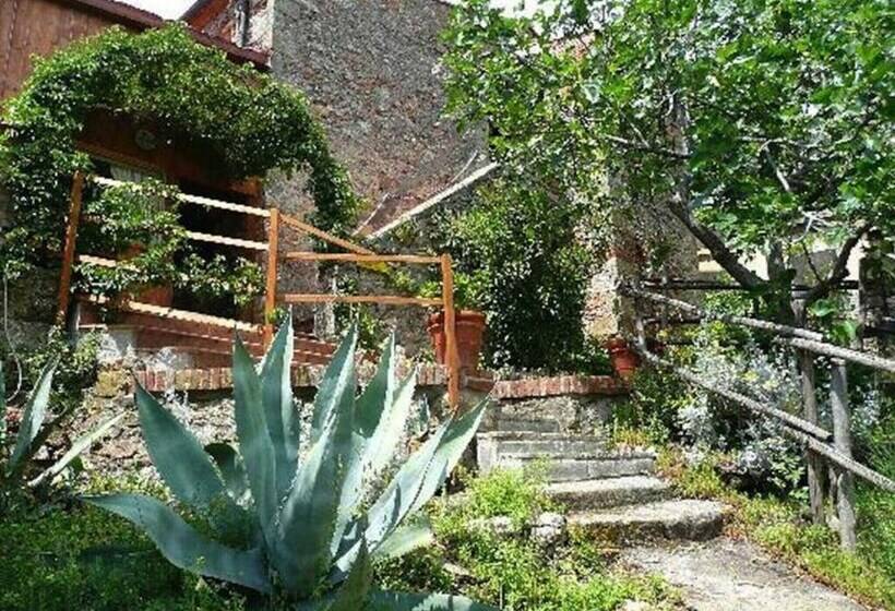 مبيت وإفطار Panorama Room 2 Pers With Breakfast In Tuscany