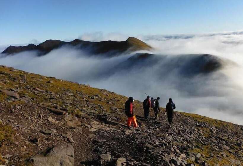 住宿加早餐  Abbey Court