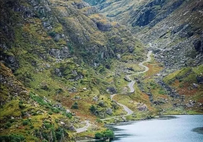 ベッドアンドブレックファースト Abbey Court