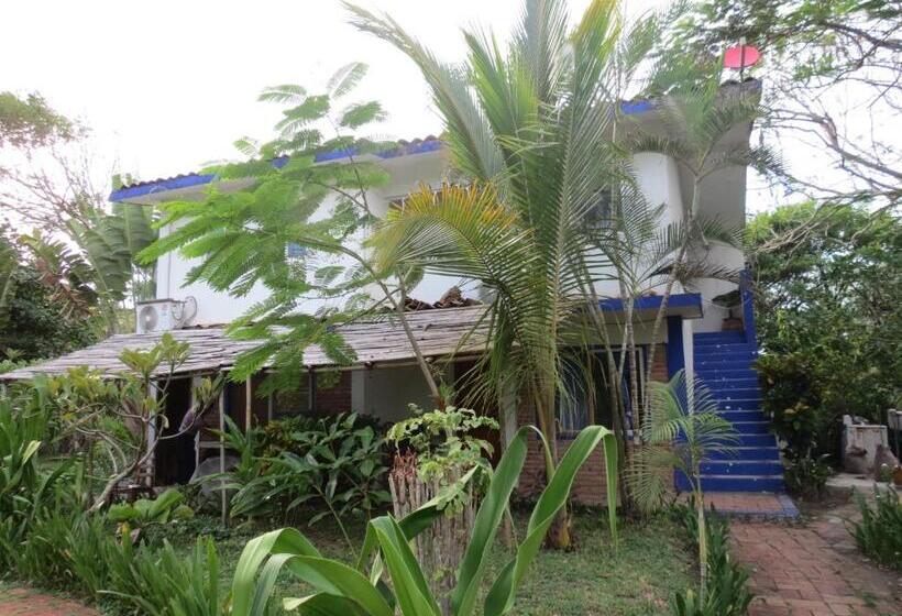 Otel Eco Coco Loco By Rotamundos