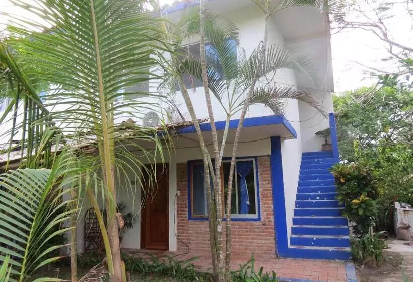 Hotelli Eco Coco Loco By Rotamundos