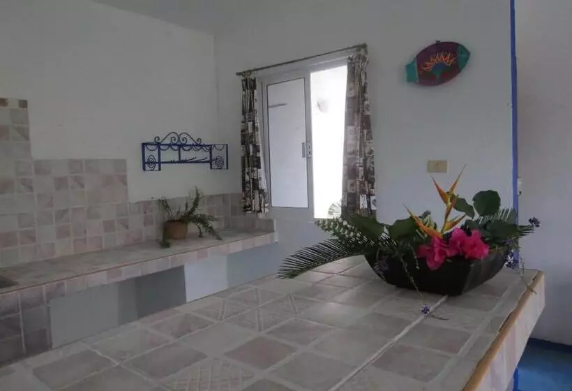 Hotelli Eco Coco Loco By Rotamundos