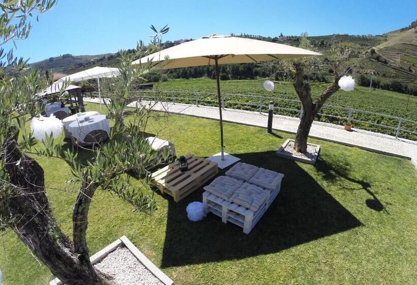 田舎風ホテル Solar Quinta Da Portela   Douro