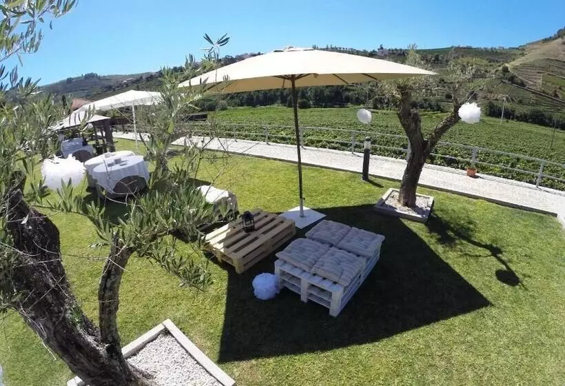 Maaseutuhotelli Solar Quinta Da Portela   Douro