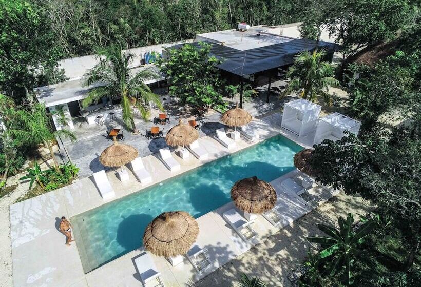 Jungle Lodge Boutique Hotel Adults Only