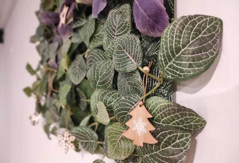 膳宿费 Scandi House