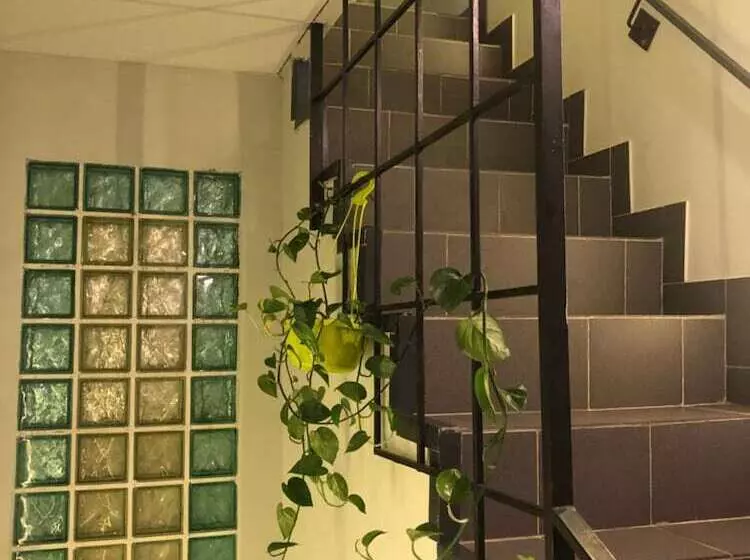 پانسیون Scandi House
