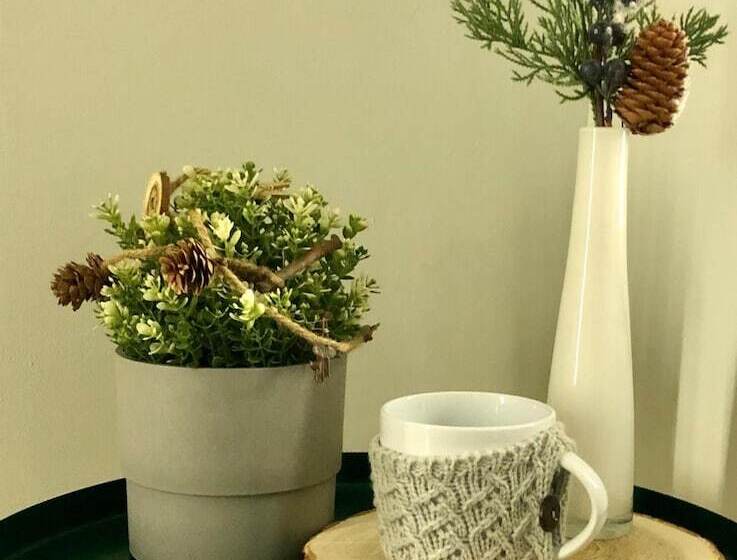 膳宿费 Scandi House