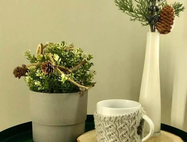 پانسیون Scandi House