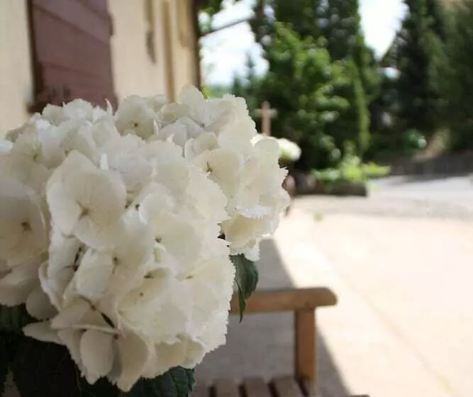 Majatalo Tauberlodge