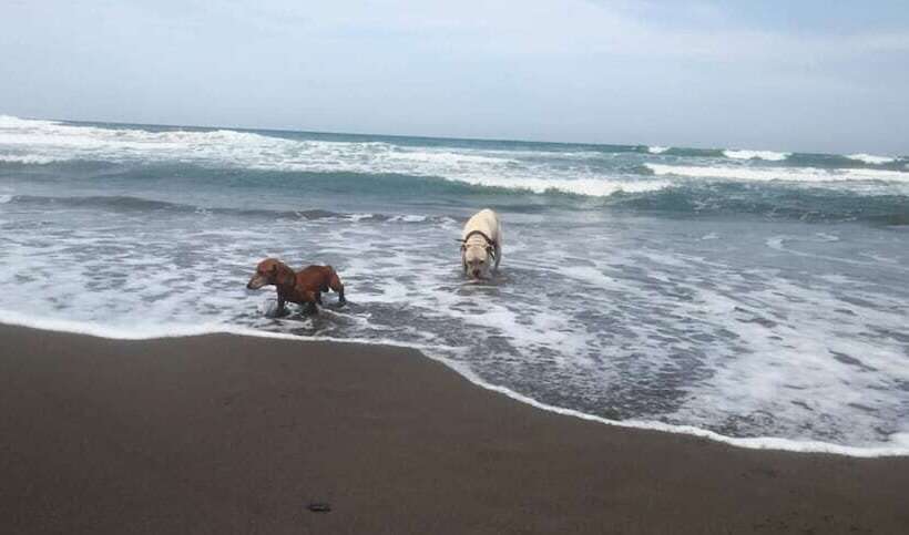 Отель Estancia De Cortés