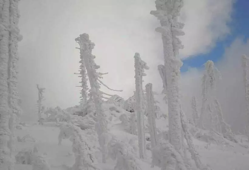 Majatalo Gästehaus Schmalzreich