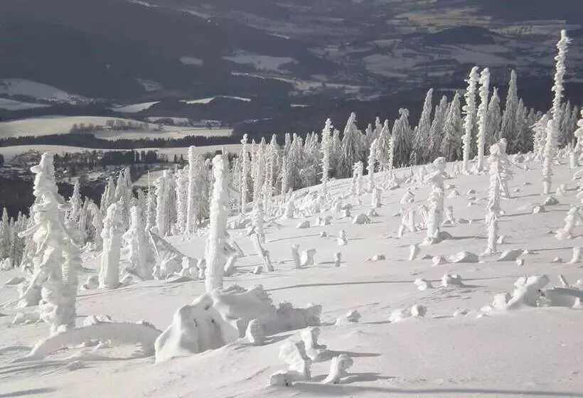 Majatalo Gästehaus Schmalzreich