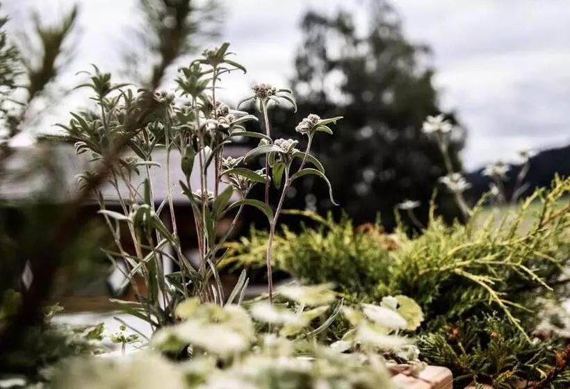 住宿加早餐 Flora Das Kleine Garten