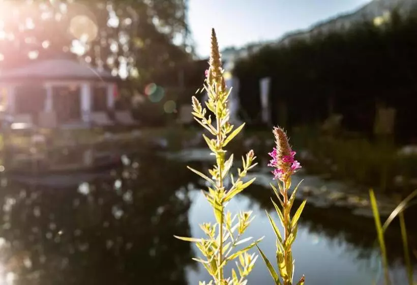 住宿加早餐 Flora Das Kleine Garten