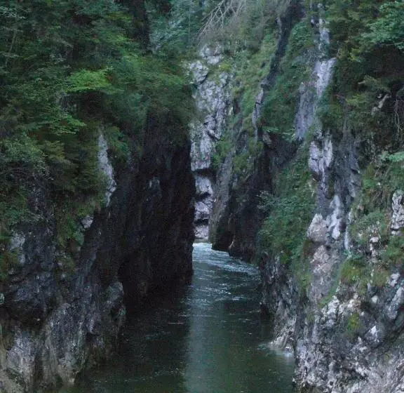 Bed and Breakfast Pension Christoph