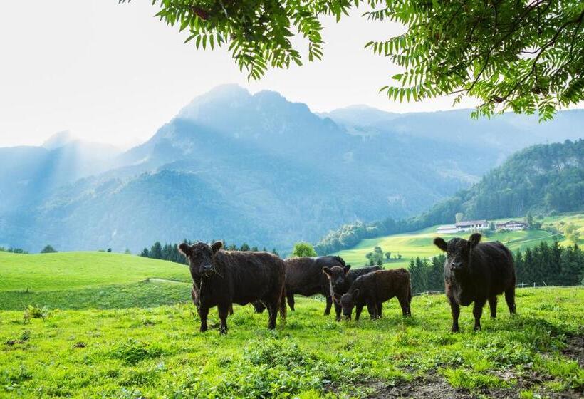 민박 Pension Christoph