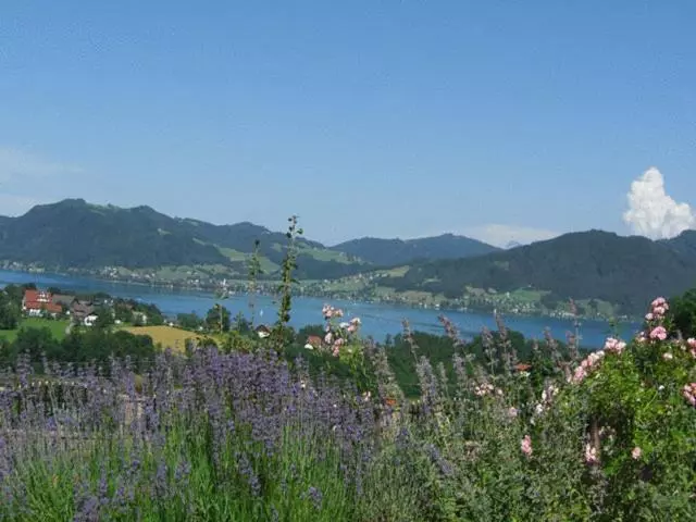 민박 Pension Seeblick